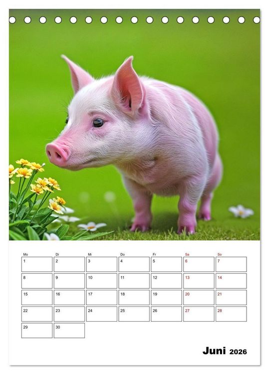 Produktbild: Mit Tieren hinein in das neue Jahr (Tischkalender 2026 DIN A5 hoch), CALVENDO Monatskalender
