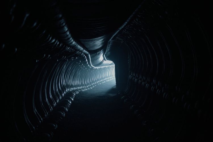Produktbild: Alien: Covenant