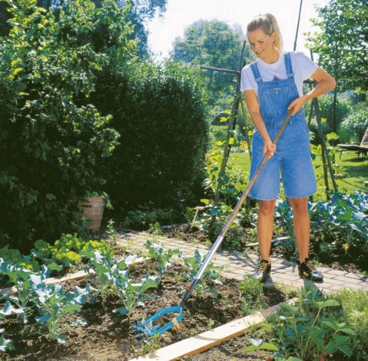 Produktbild: GARDENA combisystem 03195-20 Sternfr&auml;se mit J&auml;temesser 14cm