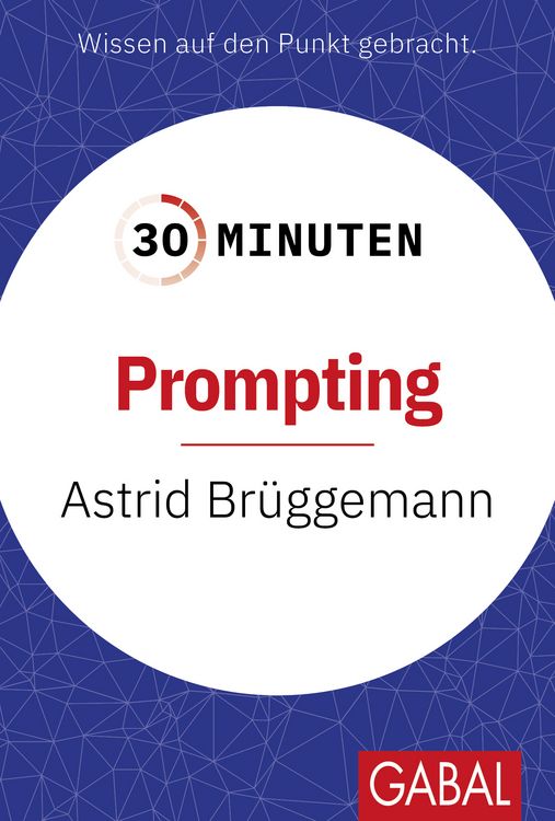 Produktbild: 30 Minuten Prompting