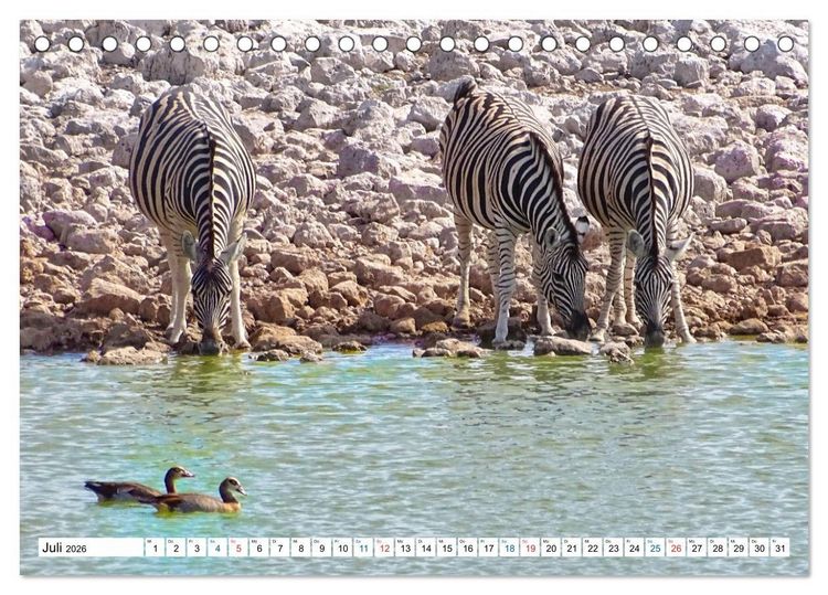 Produktbild: Namibia, Faszination W&uuml;ste und Tierwelt (Tischkalender 2026 DIN A5 quer), CALVENDO Monatskalender