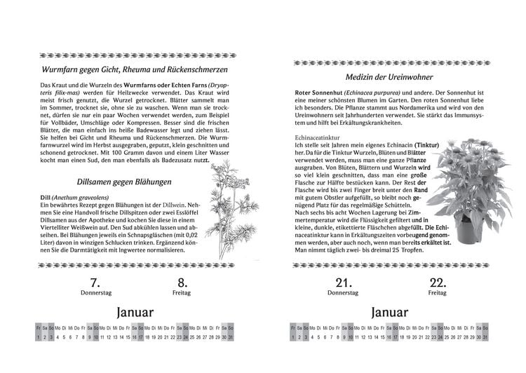 Produktbild: Liesel Malms Kr&auml;uterkalender 2027. Mit der Heilkraft der Natur durchs Jahr