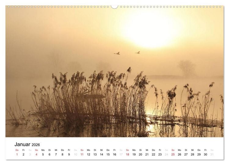 Produktbild: Morgenstimmungen 2026 (hochwertiger Premium Wandkalender 2026 DIN A2 quer), Kunstdruck in Hochglanz