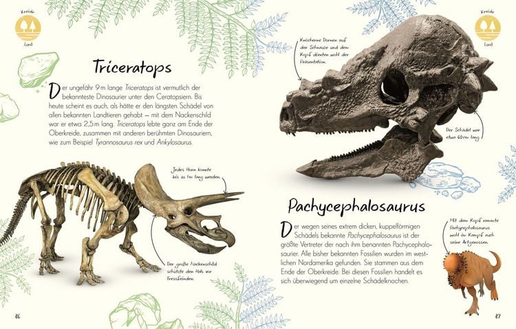 Produktbild: Wundervolle Welt - Kleine Sch&auml;tze. Fossilien