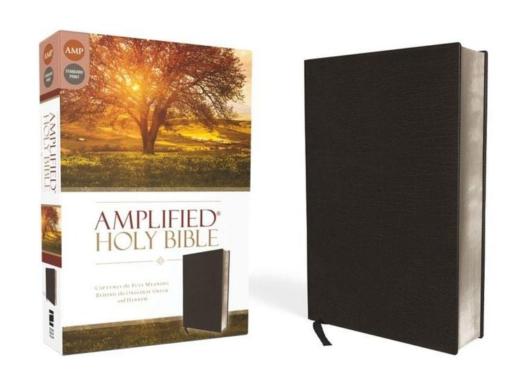 Produktbild: Amplified Bible-Am