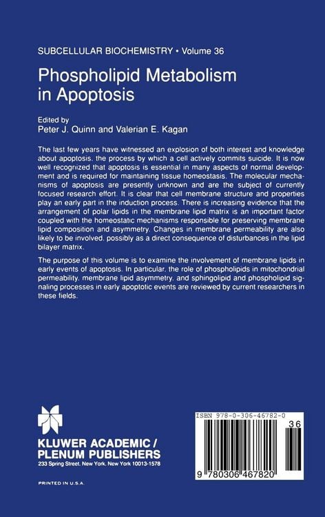 Produktbild: Phospholipid Metabolism in Apoptosis