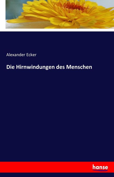 Produktbild: Die Hirnwindungen des Menschen