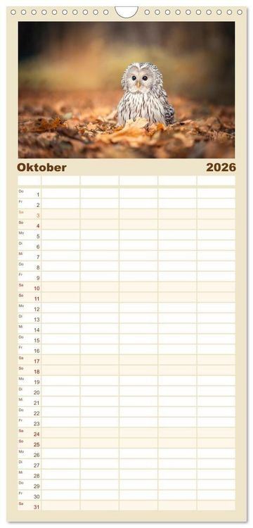 Produktbild: Familienplaner 2026 - Eulen - sch&ouml;n und geheimnisvoll mit 5 Spalten (Wandkalender, 21 x 45 cm) CALVENDO