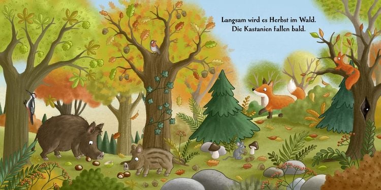 Produktbild: Es wird Herbst hier im Wald