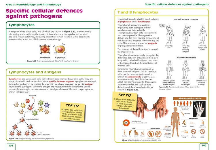 Produktbild: Higher Human Biology