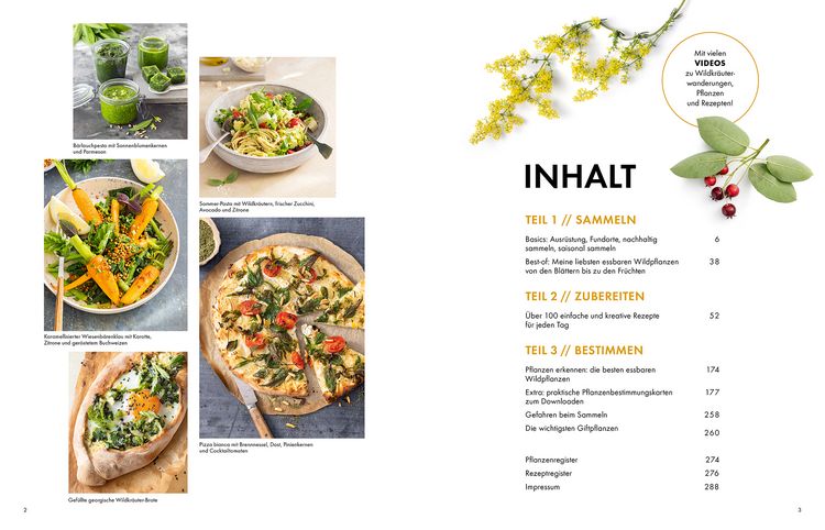 Produktbild: Wildkr&auml;uter &ndash; Bestimmen, Sammeln, Zubereiten