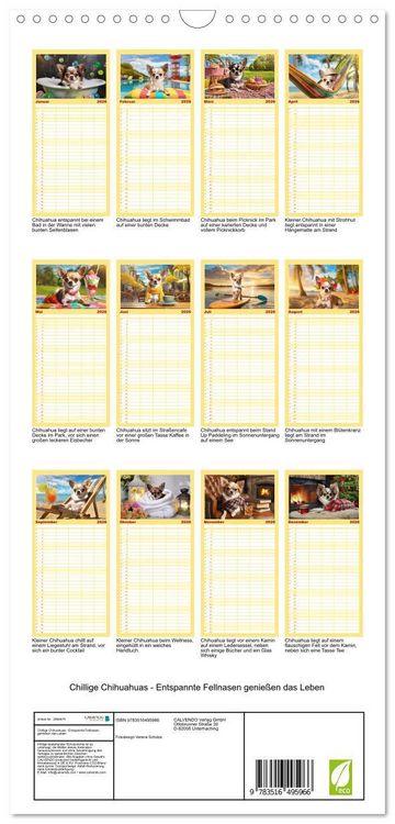 Produktbild: Familienplaner 2026 - Chillige Chihuahuas - Entspannte Fellnasen genie&szlig;en das Leben mit 5 Spalten (Wandkalender, 21 x 45 cm) CALVENDO