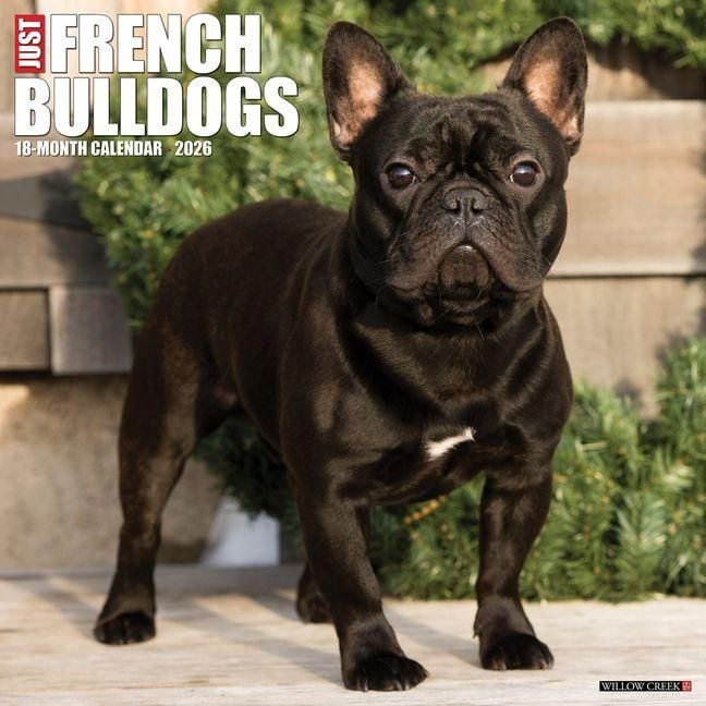 Produktbild: French Bulldogs 2026 Wall Calendar