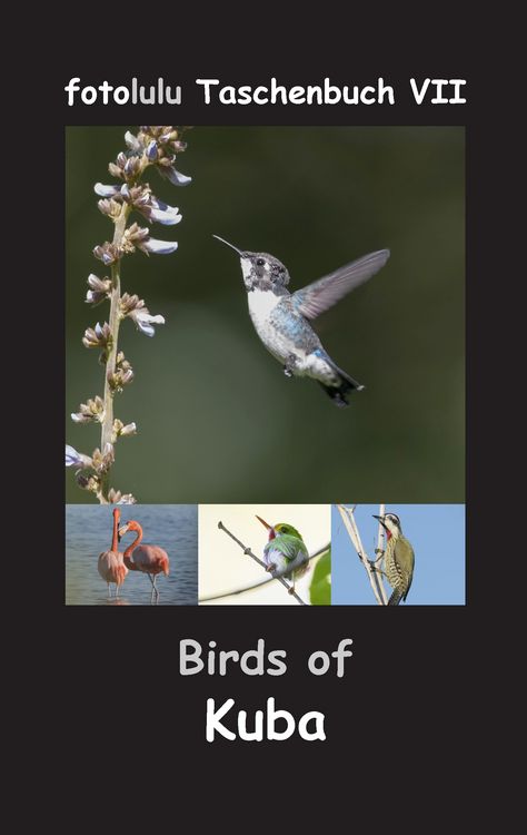 Produktbild: Birds of Kuba