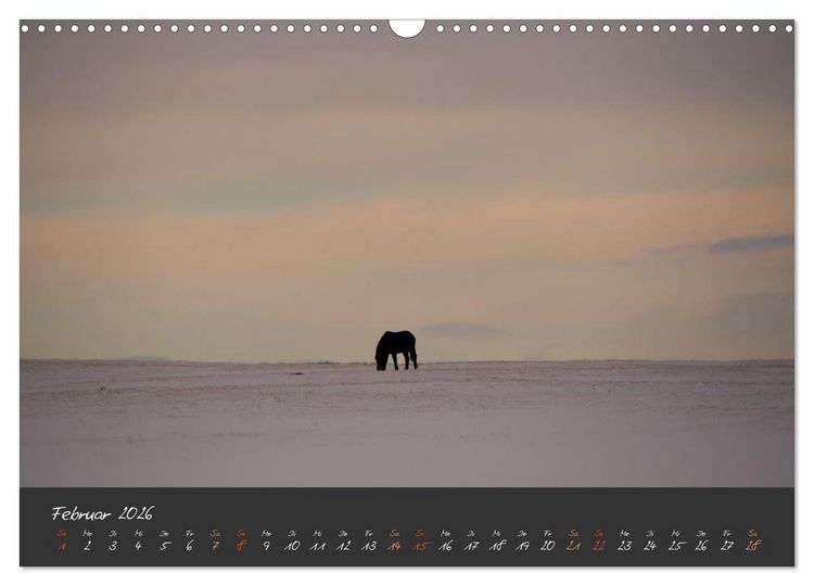 Produktbild: Islandpferde im Isi-Land (Wandkalender 2026 DIN A3 quer), CALVENDO Monatskalender