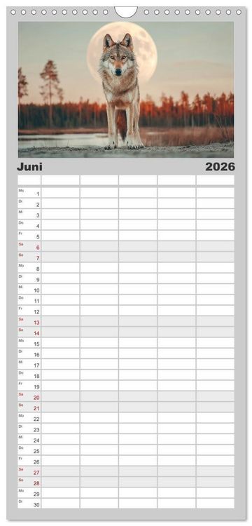 Produktbild: Familienplaner 2026 - W&ouml;lfe im Mondlicht - Ruf der Wildnis mit 5 Spalten (Wandkalender, 21 x 45 cm) CALVENDO