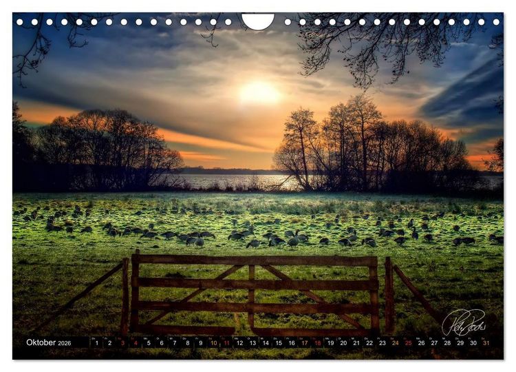 Produktbild: Am Zwischenahner Meer (Wandkalender 2026 DIN A4 quer), CALVENDO Monatskalender