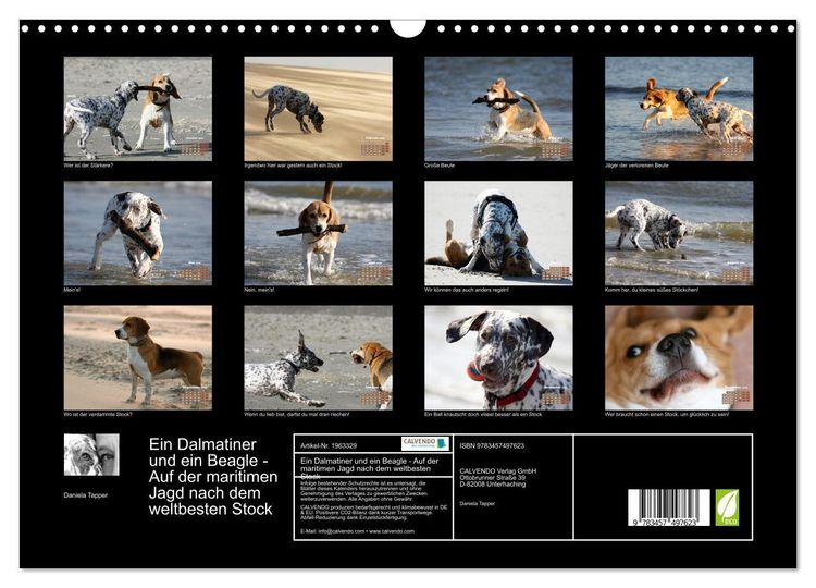 Produktbild: Ein Dalmatiner und ein Beagle - Auf der maritimen Jagd nach dem weltbesten Stock (Wandkalender 2026 DIN A3 quer), CALVENDO Monatskalender