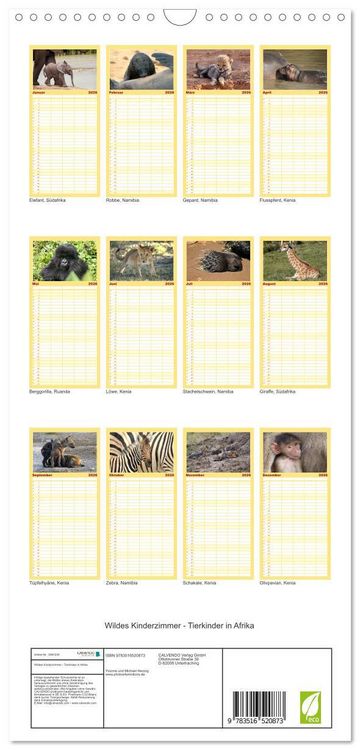 Produktbild: Familienplaner 2026 - Wildes Kinderzimmer - Tierkinder in Afrika mit 5 Spalten (Wandkalender, 21 x 45 cm) CALVENDO