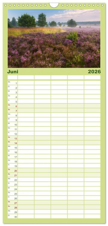 Produktbild: Familienplaner 2026 - Romantische Heidebl&uuml;te mit 5 Spalten (Wandkalender, 21 x 45 cm) CALVENDO