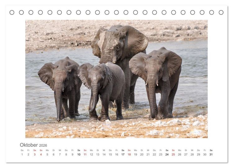 Produktbild: Namibia - unterwegs mit Julia Hahn (Tischkalender 2026 DIN A5 quer), CALVENDO Monatskalender