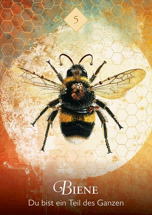 Produktbild: Das Orakel der Krafttiere
