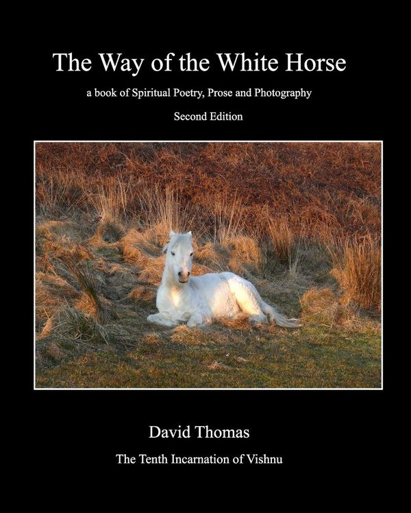 Produktbild: Way of the White Horse