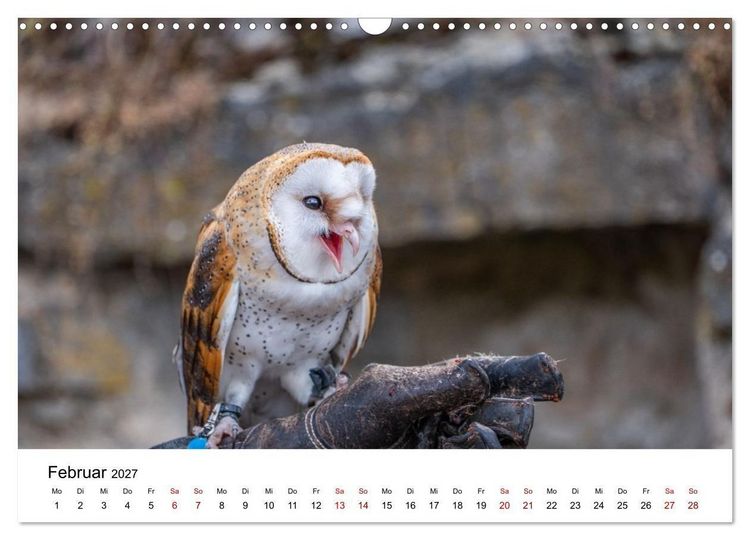 Produktbild: Greifv&ouml;gel in Aktion - Dynamische Flugbilder und Portr&auml;ts (Wandkalender 2027 DIN A3 quer), CALVENDO Monatskalender