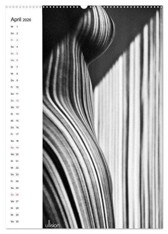 Produktbild: Akt abstrakt (Wandkalender 2026 DIN A2 hoch), CALVENDO Monatskalender