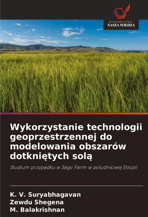 Produktbild: Wykorzystanie technologii geoprzestrzennej do modelowania obszar&oacute;w dotkni&iquest;tych sol&iquest;