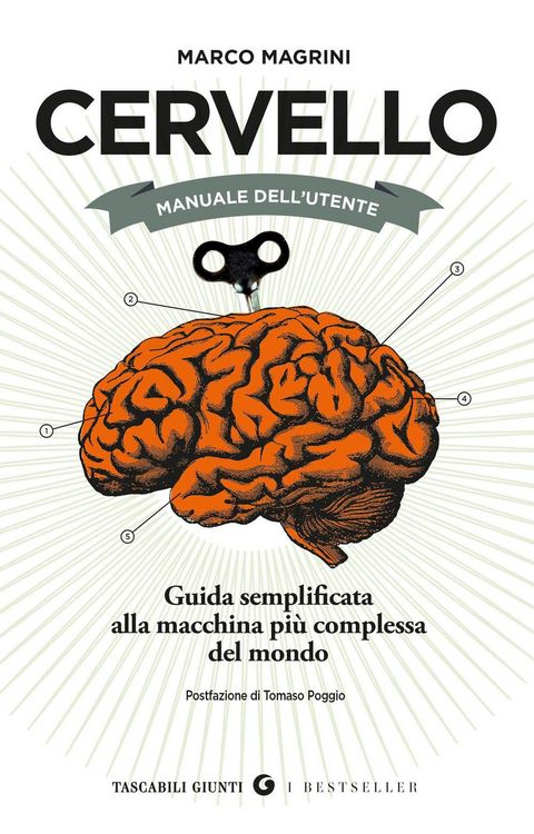 Produktbild: Cervello. Manuale dell'utente. Guida semplificata alla macchina pi&ugrave; complessa del mondo
