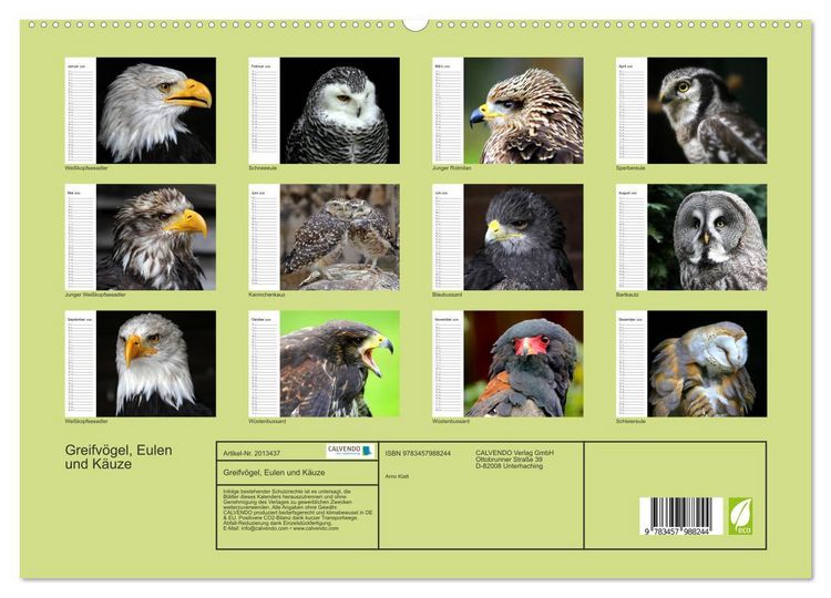 Produktbild: Greifv&ouml;gel, Eulen und K&auml;uze (hochwertiger Premium Wandkalender 2026 DIN A2 quer), Kunstdruck in Hochglanz