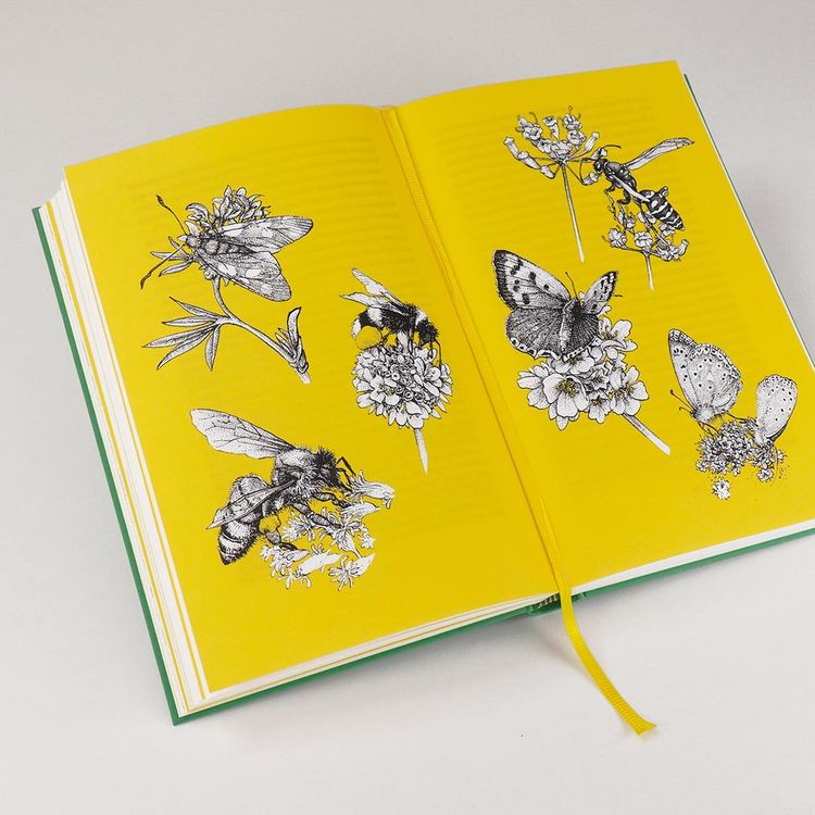 Produktbild: Wildlife Gardening