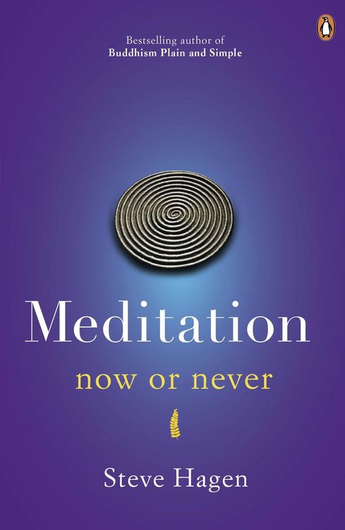 Produktbild: Meditation Now or Never
