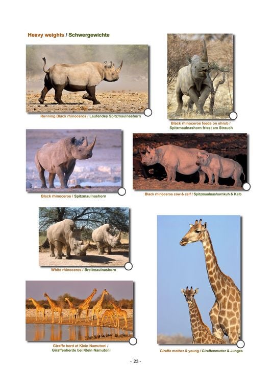 Produktbild: ETOSHA KARTE mit Fotogalerie