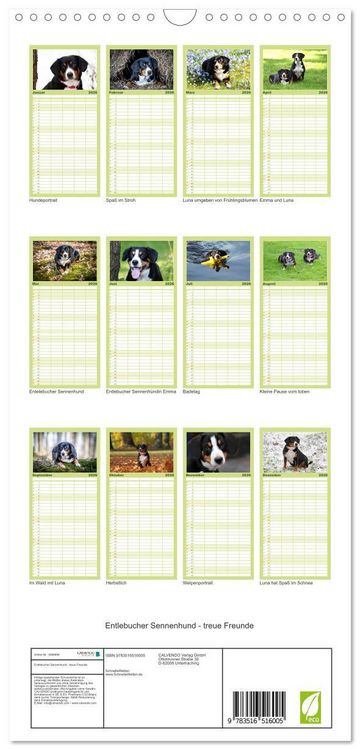 Produktbild: Familienplaner 2026 - Entlebucher Sennenhund - treue Freunde mit 5 Spalten (Wandkalender, 21 x 45 cm) CALVENDO