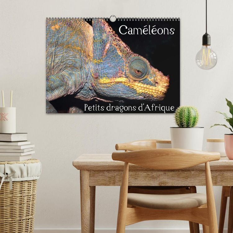 Produktbild: Cam&eacute;l&eacute;ons - Petits dragons d'Afrique. (Calendrier mural 2026 DIN A3 vertical), CALVENDO calendrier mensuel