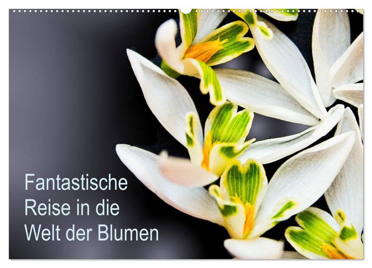 Produktbild: Fantastische Reise in die Welt der Blumen (Wandkalender 2026 DIN A2 quer), CALVENDO Monatskalender