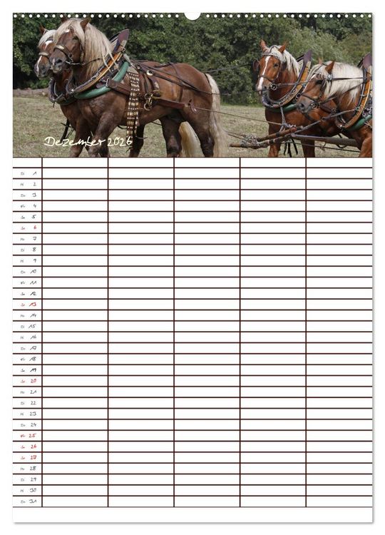 Produktbild: Der Kaltblut-Familienplaner (Wandkalender 2026 DIN A2 hoch), CALVENDO Monatskalender