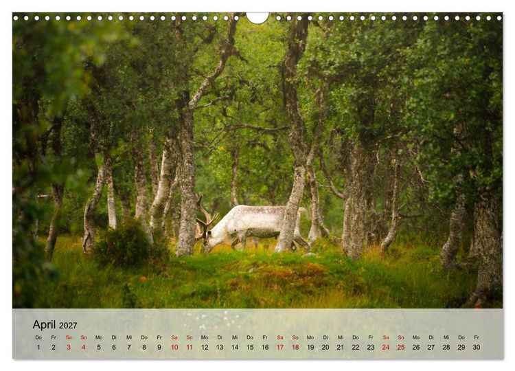 Produktbild: Magische Tiermomente (Wandkalender 2027 DIN A3 quer), CALVENDO Monatskalender