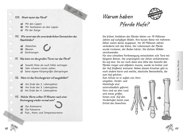 Produktbild: Mein Pferdequiz