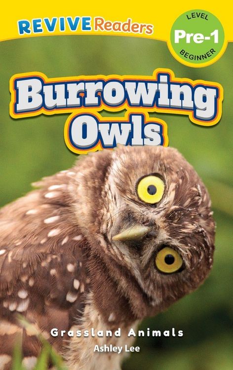 Produktbild: Burrowing Owls