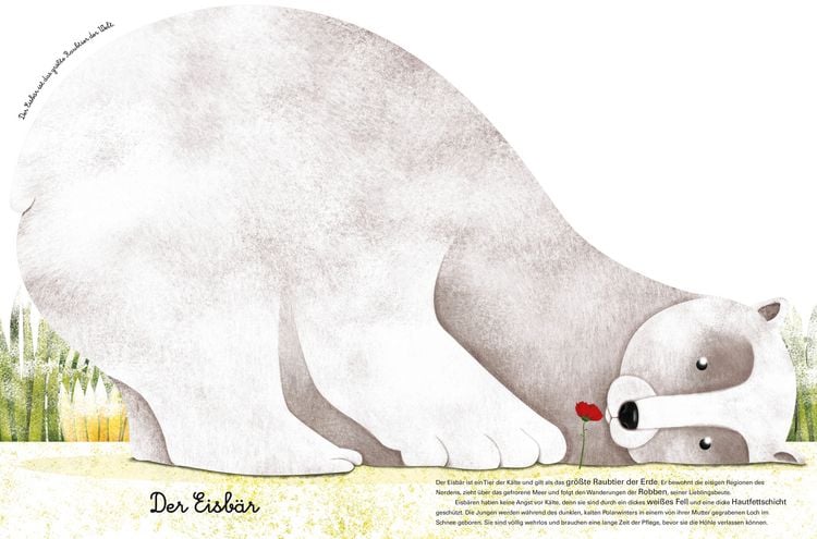 Produktbild: Das gro&szlig;e Buch der riesigen Tiere. Das kleine Buch der winzigen Tiere