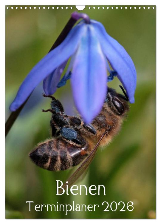 Produktbild: Bienen-Terminplaner 2026 (Wandkalender 2026 DIN A3 hoch), CALVENDO Monatskalender