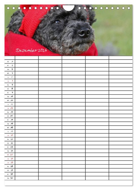 Produktbild: Der Pudel-Familienplaner (Wandkalender 2026 DIN A4 hoch), CALVENDO Monatskalender