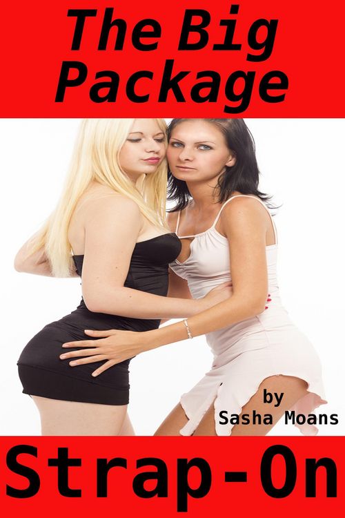 Produktbild: The Big Package, Strap-On (Lesbian Erotica)
