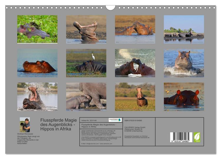 Produktbild: Flusspferde Magie des Augenblicks - Hippos in Afrika (Wandkalender 2026 DIN A3 quer), CALVENDO Monatskalender