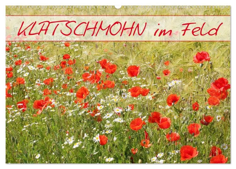 Produktbild: Klatschmohn im Feld (Wandkalender 2026 DIN A2 quer), CALVENDO Monatskalender