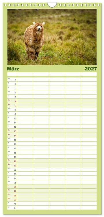 Produktbild: Familienplaner 2027 - Unter Lamas und Alpakas mit 5 Spalten (Wandkalender, 21 x 45 cm) CALVENDO