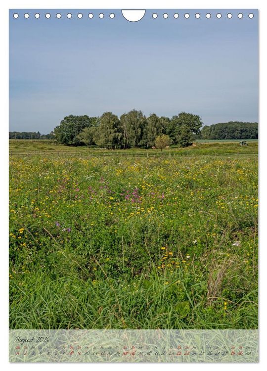 Produktbild: Wegberger Umland (Wandkalender 2026 DIN A4 hoch), CALVENDO Monatskalender